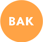 Academy of Articles - bak